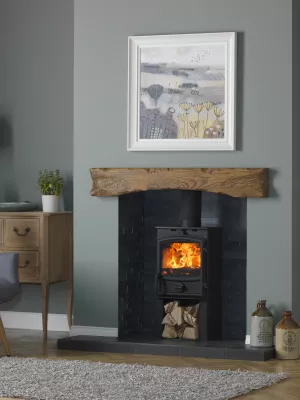 Fireline 4kW Multi-Fuel Stove