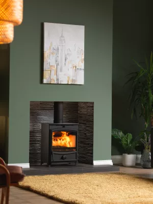 Fireline 5kW Wide Multi-Fuel Stove