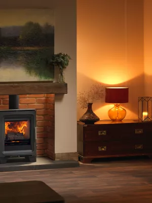 Purevision BPV5 5kW Stove