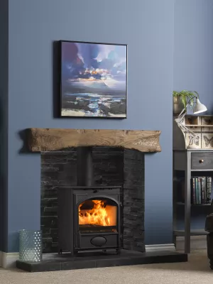 Fireline 8kW Multi-Fuel Stove