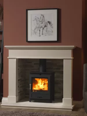 Fireline 8kW Multi-Fuel Stove