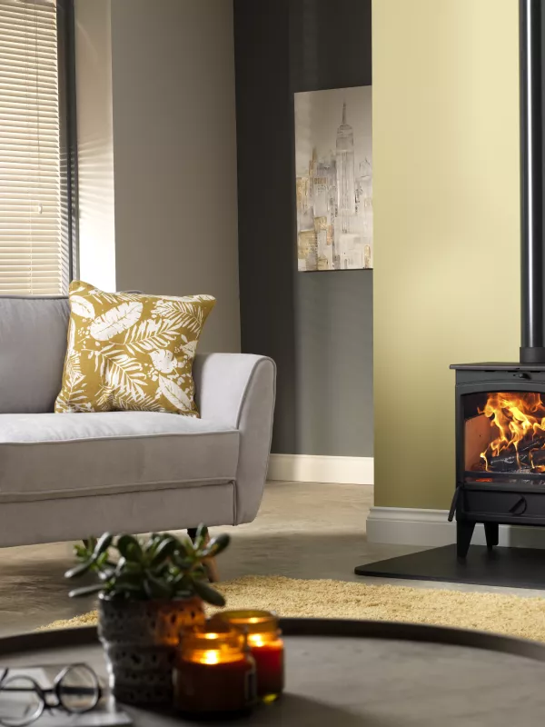 Product Go Eco High Line 5kW Plus Stove Image
