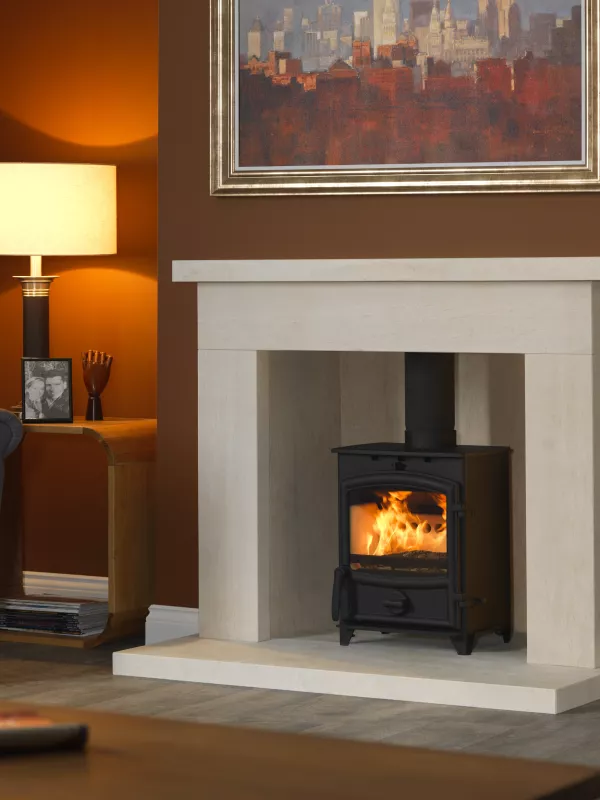 Product Fireline 5kW Multi-Fuel Stove Image